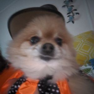 Meet your Posher, Deborah